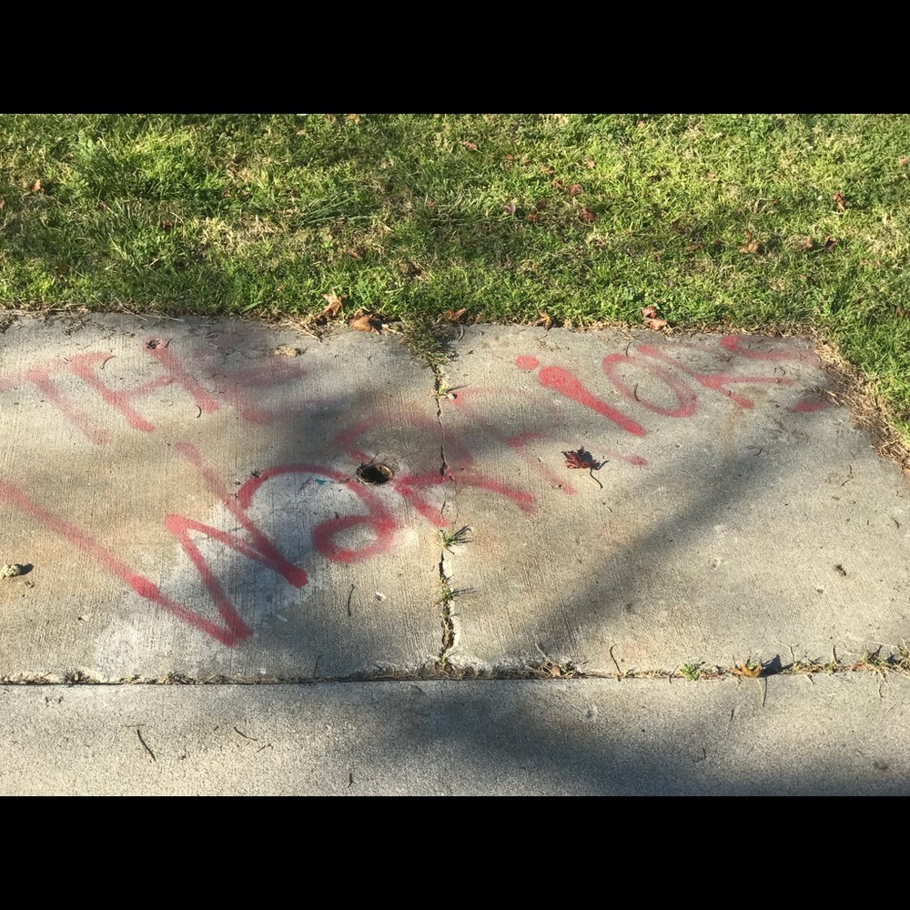 Meet your Posher, Patrick